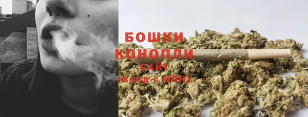 PSILOCYBIN Балабаново