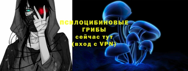 PSILOCYBIN Балабаново